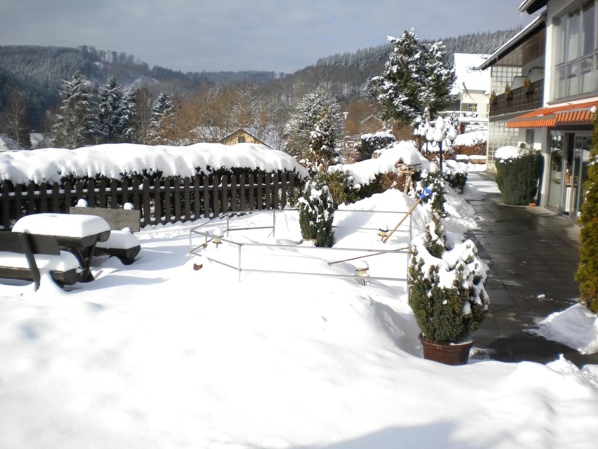 Hotel Pension Haus Berghof ヘレンタール エクステリア 写真
