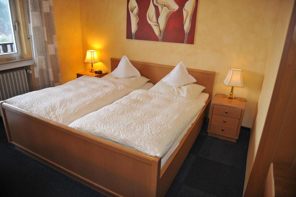 Hotel Pension Haus Berghof ヘレンタール 部屋 写真